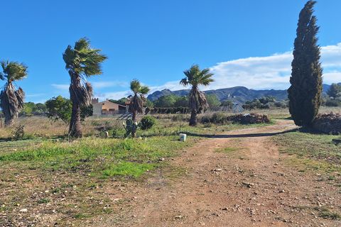 Finca i Ginestar, Tarragona, Ginestar - € 210.000 | Ref: CC837 - foto 11